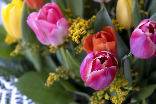 宏观照片。暗粉色的郁金香。新鲜的五彩郁金香花束放在篮子里。浪漫的生日快乐理念。绿色背景。有选择性的重点。图片下载