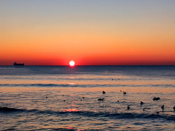 橙色的黎明倒映在海面上，大海的全景图片下载
