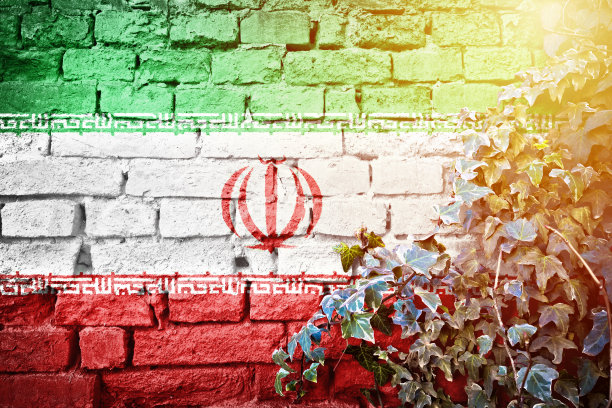 伊朗垃圾旗在砖墙与常春藤植物太阳霾的看法图片下载