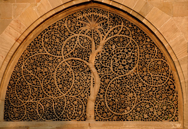 生命之树图片下载