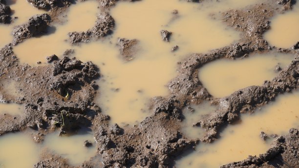 泥泞道路上的水坑图片下载