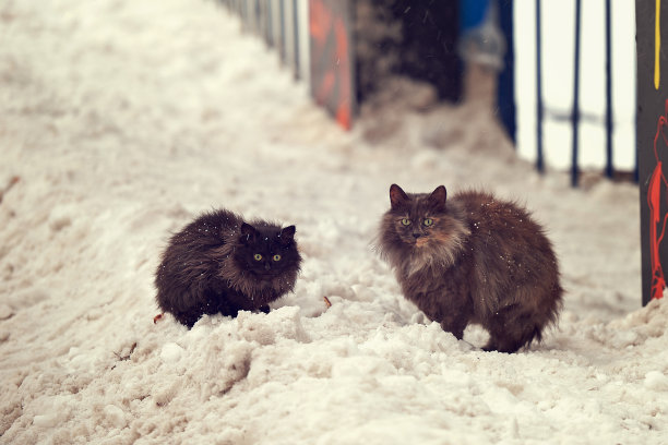 城市生活图片下载