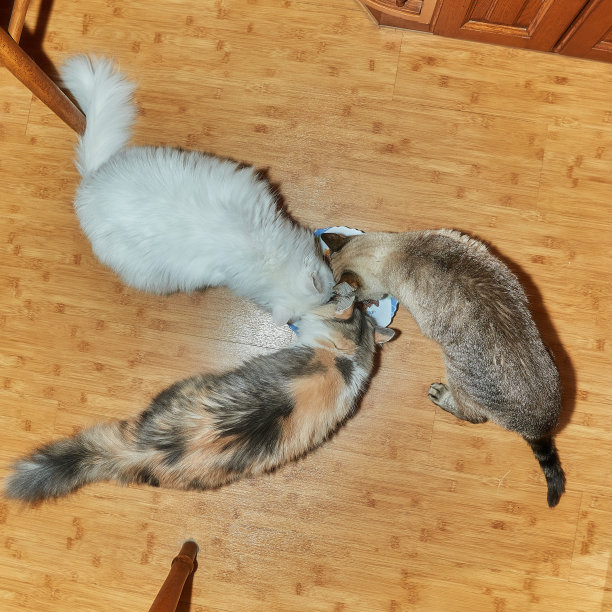 城市生活图片下载