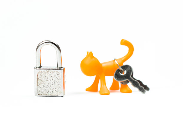 宠物收养来自庇护所的概念。带锁和钥匙的动物猫雕像。慈善和帮助的背景照片，孤立在白色图片下载