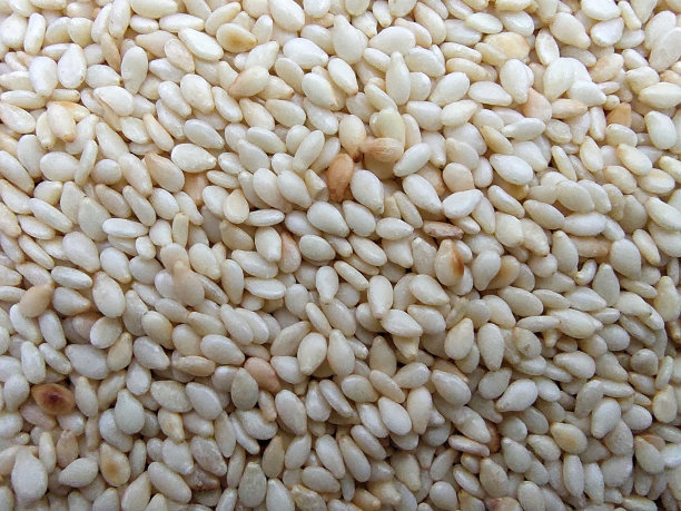 烤白芝麻图片下载