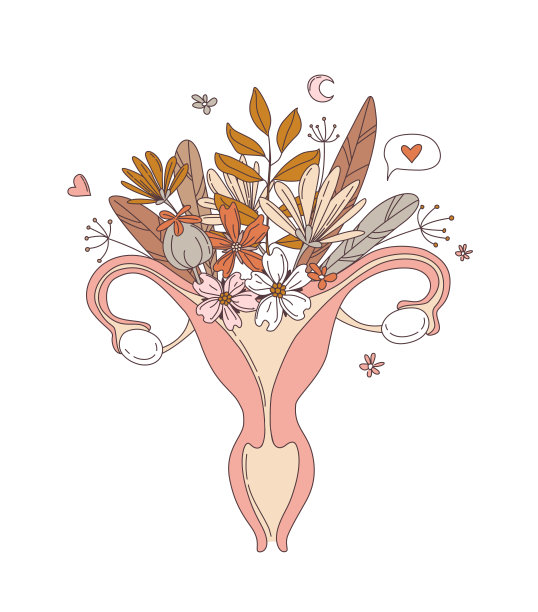 女性生殖系统的子宫具有花花图案图片下载
