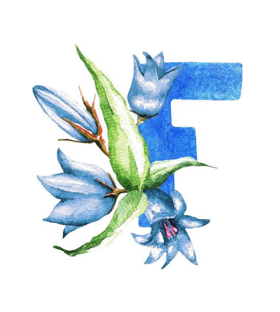 字母F和铃铛。水彩图片下载