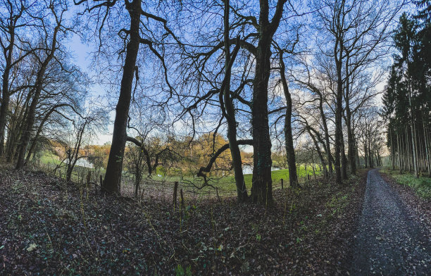 德国下萨克森州冬天的一条小路，旁边是森林和河流。图片下载