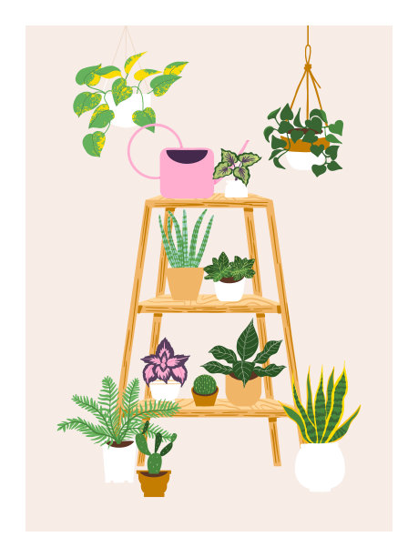 花卉主题的当代艺术海报。架子，喷壶，室内植物生长在花盆插图图片下载