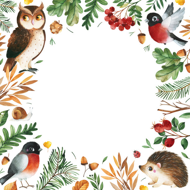 可爱的林地集合图片下载