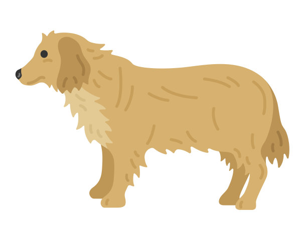 金毛猎犬图片下载