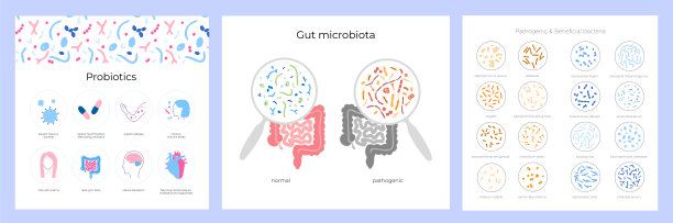 益生菌组的概念图片下载