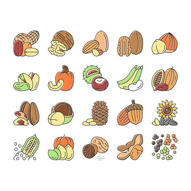 坚果美味的自然营养图标集向量。图片下载