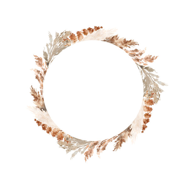 水彩潘帕斯草插图图片下载