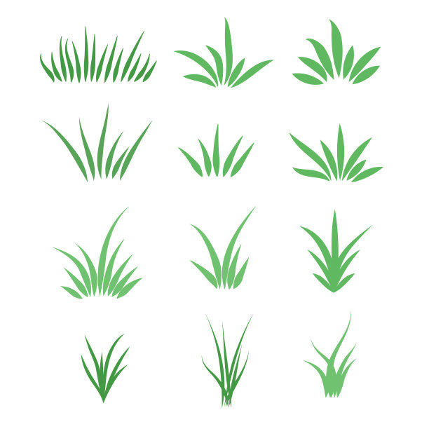 白色背景上的绿色草地。向量illutration图片下载