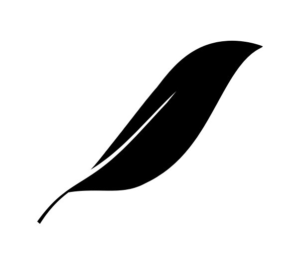 黑色羽毛作为图标孤立在白色上图片下载