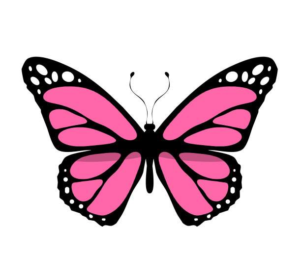 彩色蝴蝶矢量图标，孤立在白色上图片下载