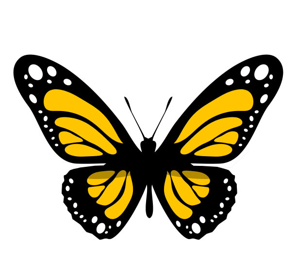 彩色蝴蝶图标，孤立在白色背景上图片下载