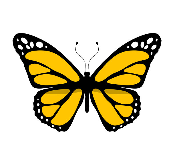 彩色蝴蝶矢量图标，孤立在白色上图片下载