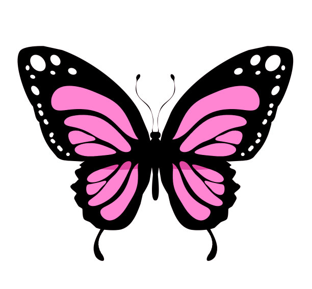 彩色蝴蝶图标，孤立在白色背景上图片下载