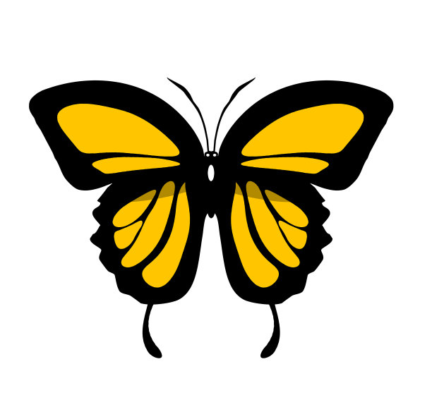 彩色蝴蝶图标，孤立在白色背景上图片下载