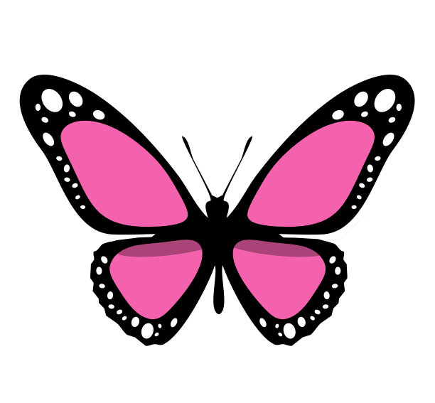 彩色蝴蝶图标，孤立在白色背景上图片下载