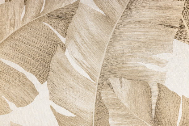 织物织锦背景纹理与花饰图片下载