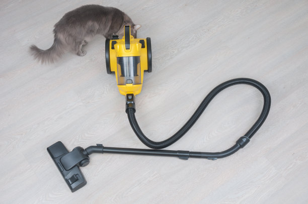 吸尘器和好奇的猫在木地板上图片下载