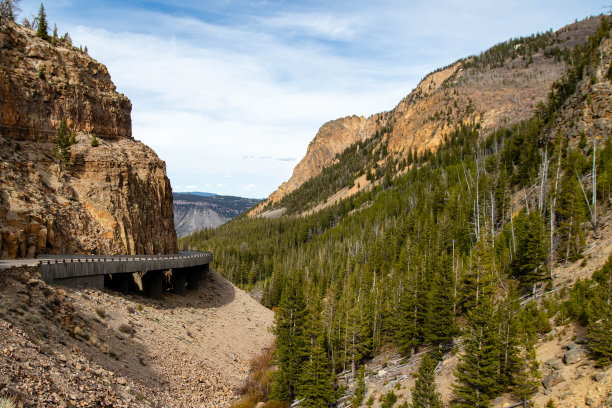 位于怀俄明州黄石国家公园金门峡谷的环线公路上的大桥图片下载