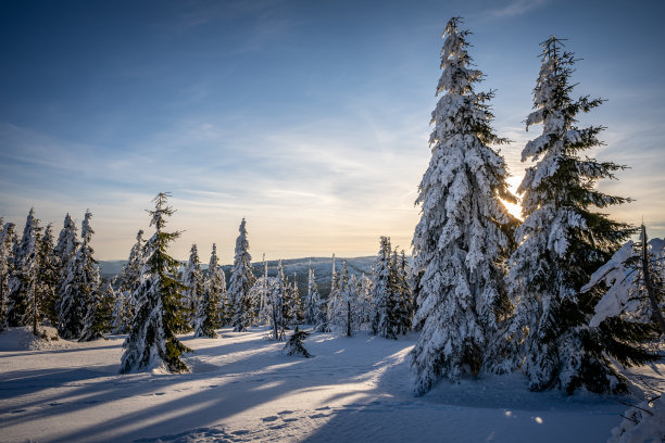 冬天的德赖塞伯格与雪在德国和捷克共和国的边界，巴伐利亚森林-苏玛瓦国家公园，德国-捷克共和国。高质量的照片图片下载