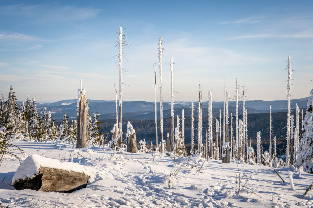 冬天的德赖塞伯格与雪在德国和捷克共和国的边界，巴伐利亚森林-苏玛瓦国家公园，德国-捷克共和国。高质量的照片图片下载