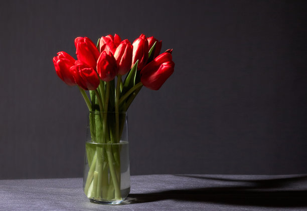玻璃花瓶里的红色郁金香图片下载