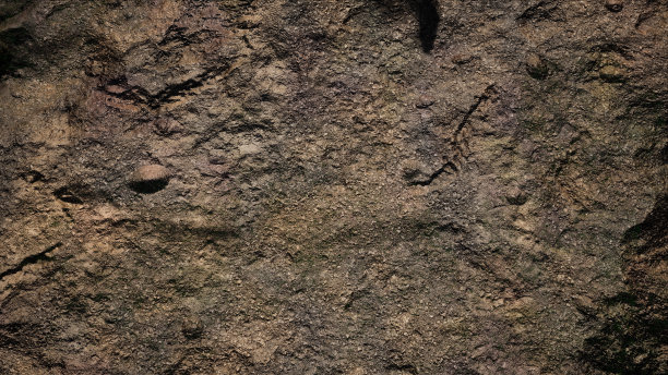 干岩石表面纹理3D渲染图片下载