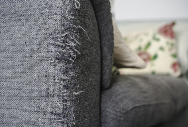 沙发上被猫爪咬坏的破烂角落。图片下载