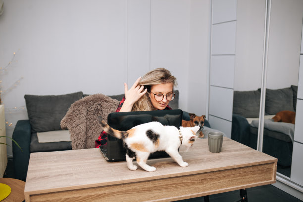 带着猫和狗的年轻女人用笔记本电脑图片下载