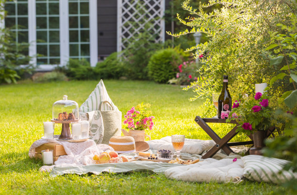 夏天在花园里野餐图片下载
