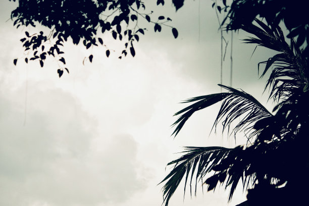 巴厘岛的自然景观图片下载