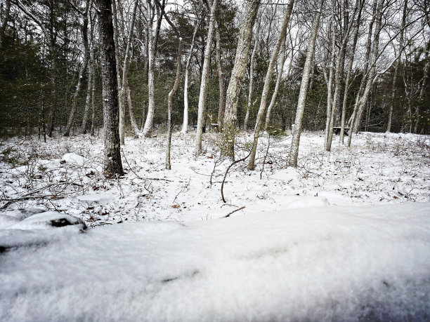 农村的场景图片下载