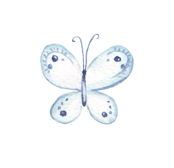 蝴蝶。水彩插图。手绘图片下载