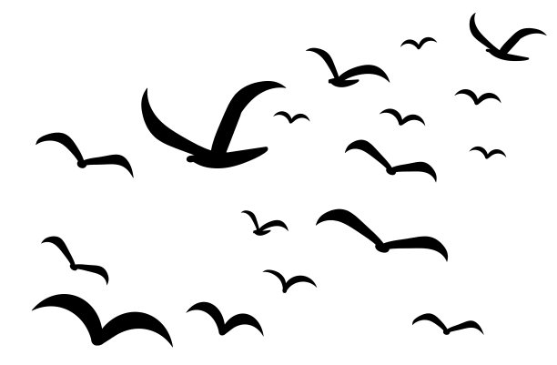 白色上成群的鸟的剪影图片下载