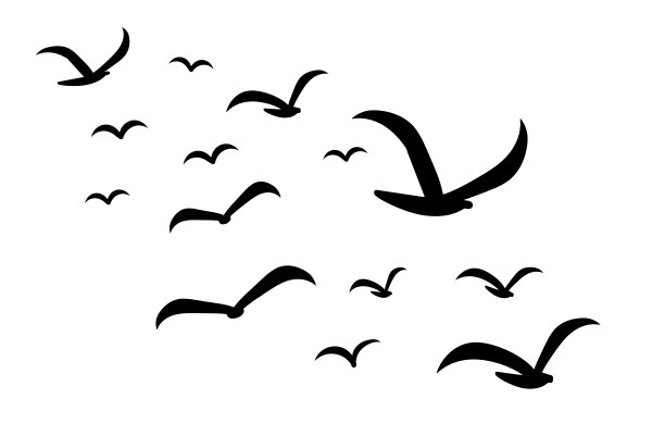 白色上成群的鸟的剪影图片下载