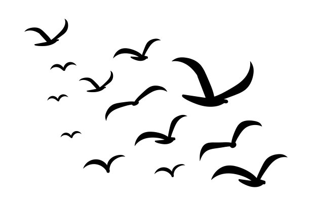 白色上成群的鸟的剪影图片下载