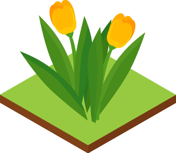 公园花卉等距构图图片下载