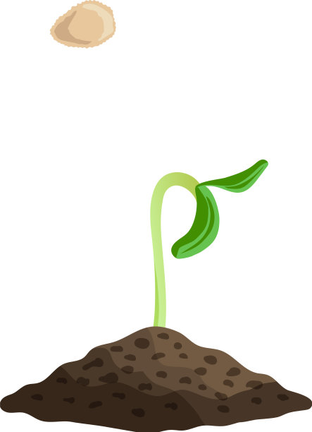 芽和种子组成图片下载