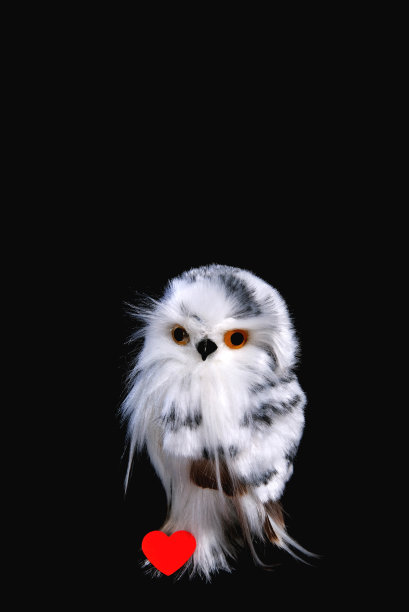 黑色背景上的玩具猫头鹰，红色的纸心，情人节，特写图片下载