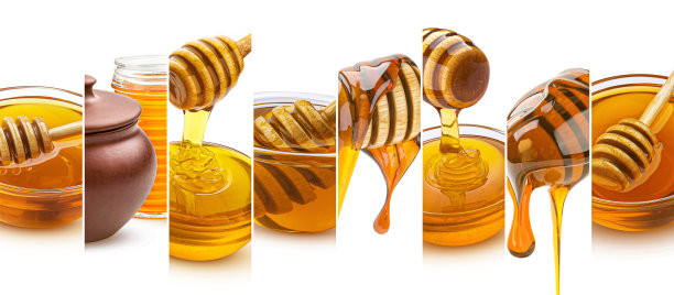 蜂蜜拼贴孤立在白色背景与复制空间图片下载