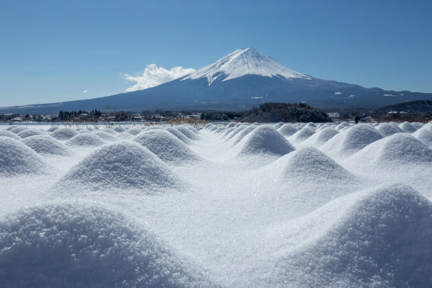 富士山和白雪覆盖的花园图片下载