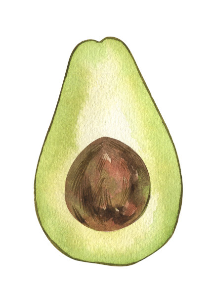 水彩鳄梨。食品植物手绘插图。蔬菜孤立在白色背景上。剪纸艺术对象。用于卡片，海报，横幅，餐厅菜单，厨房纺织品。图片下载
