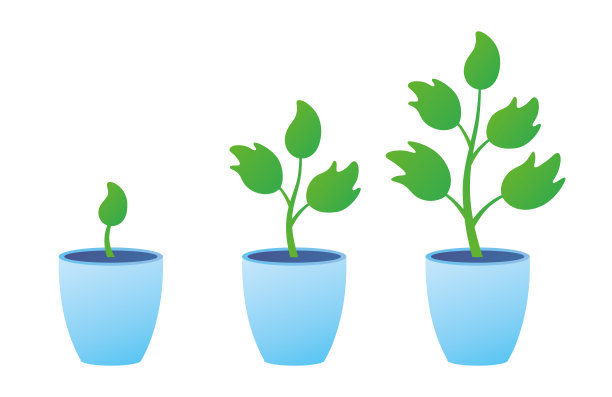 花盆，有大大小小的绿色植物图片下载