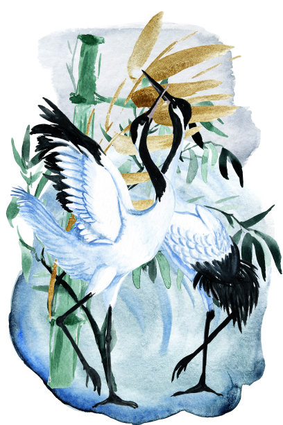 日本鸟类。鹭、吞咽、水彩绘画。海报和明信片。图片下载